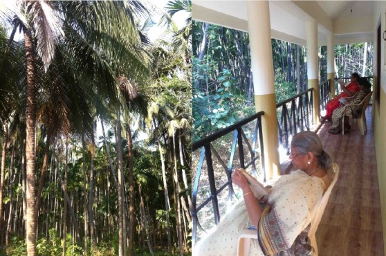 bibliotheque Malampuzha KA