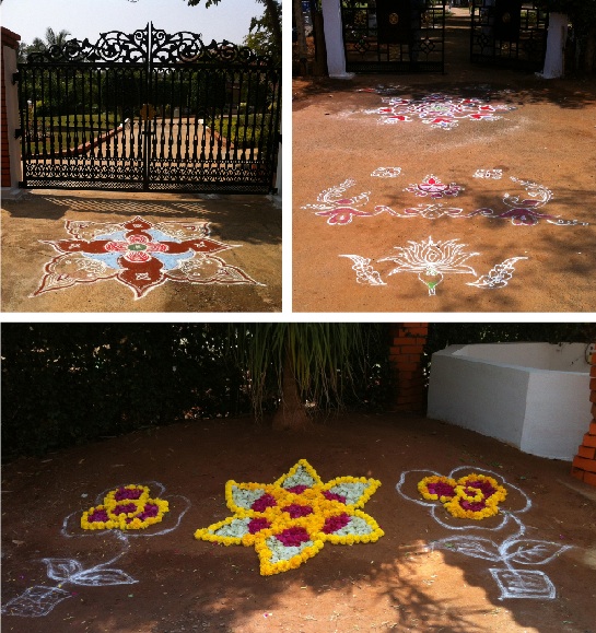 tiruppur kolam 4.02.14