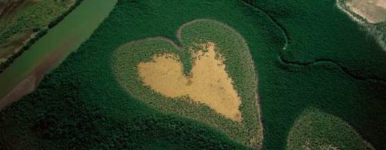 yann arthus bertrand coeur foret